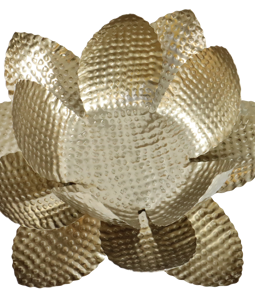 6042 BOL LOTUS